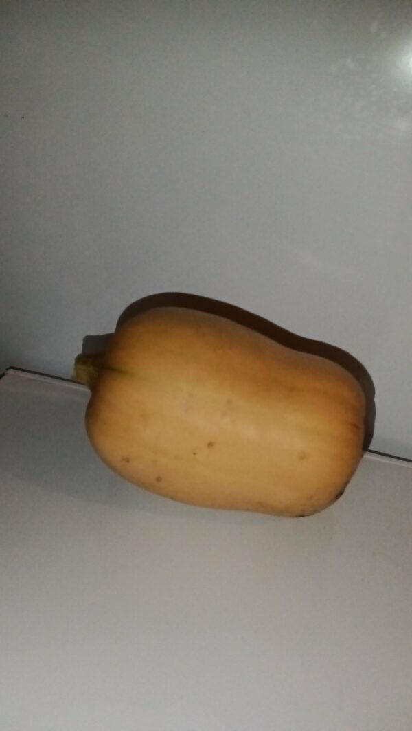 Butternut