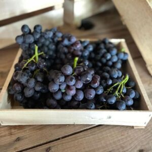 Raisin noir 600g