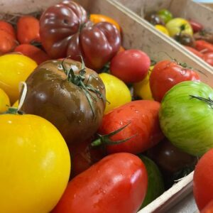 Tomates anciennes 1KG