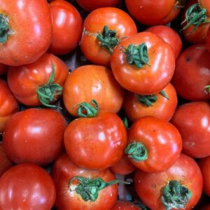 Tomates rondes 1KG