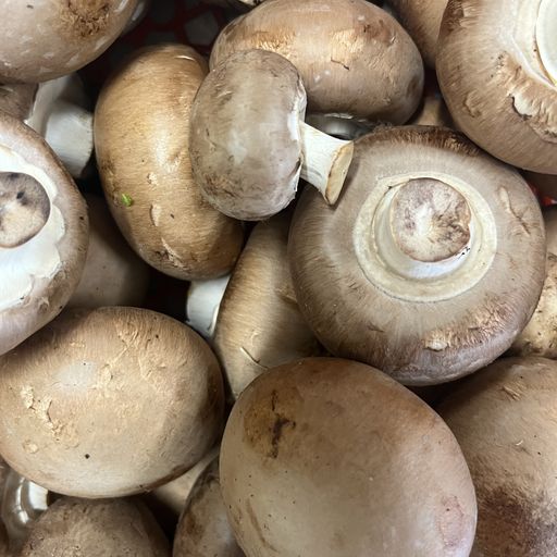 Champignons rosés de Paris 300g