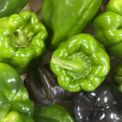 Poivrons 500g