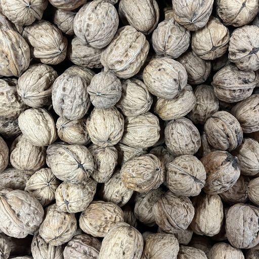Noix 250g