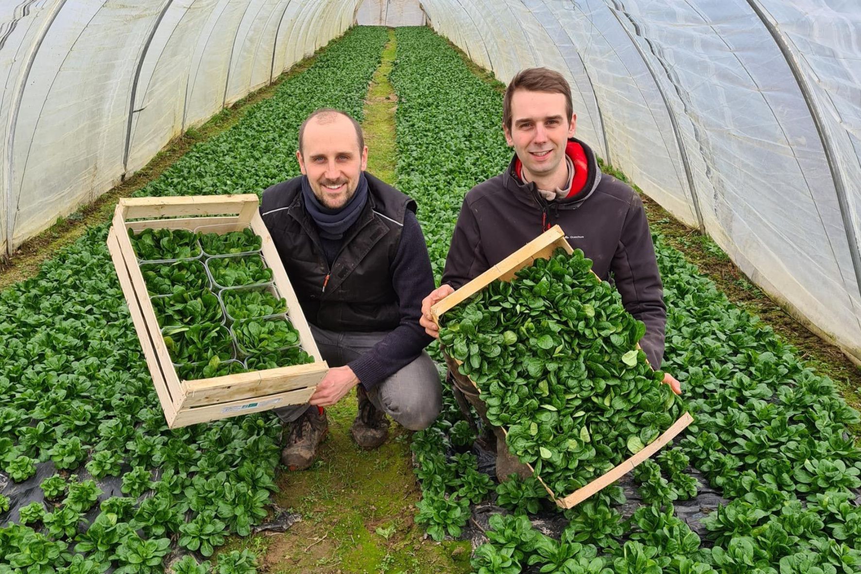 Nos producteurs