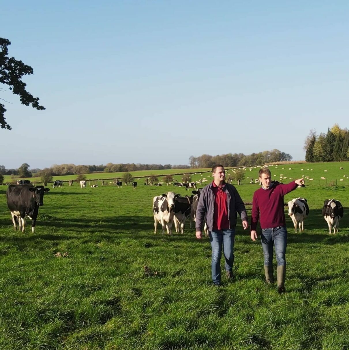 Agriculture française