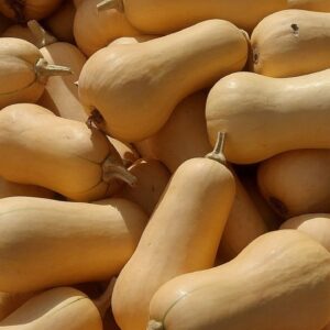 Butternut