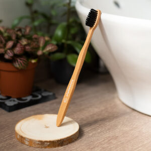 Brosse à dents adulte (premium)