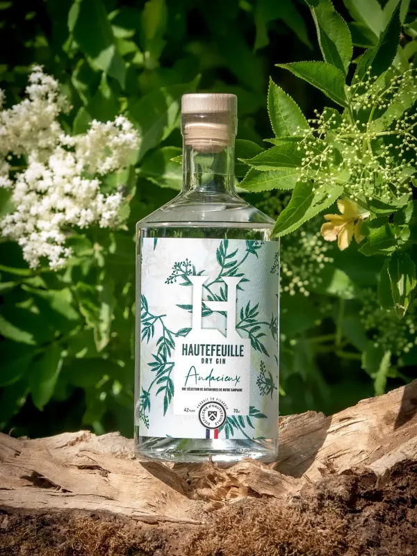 Gin Audacieux