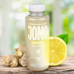 JOMO – Citronnade glacée gingembre